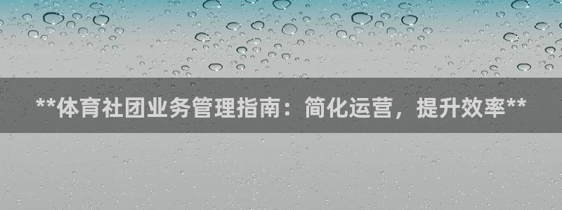 必一运动bsport体育app下载